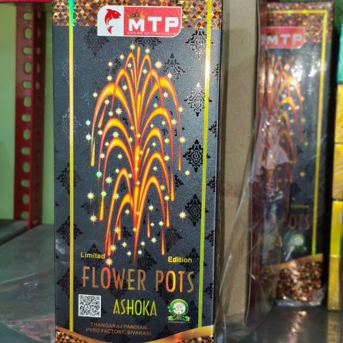 Flower Pot Ashoka